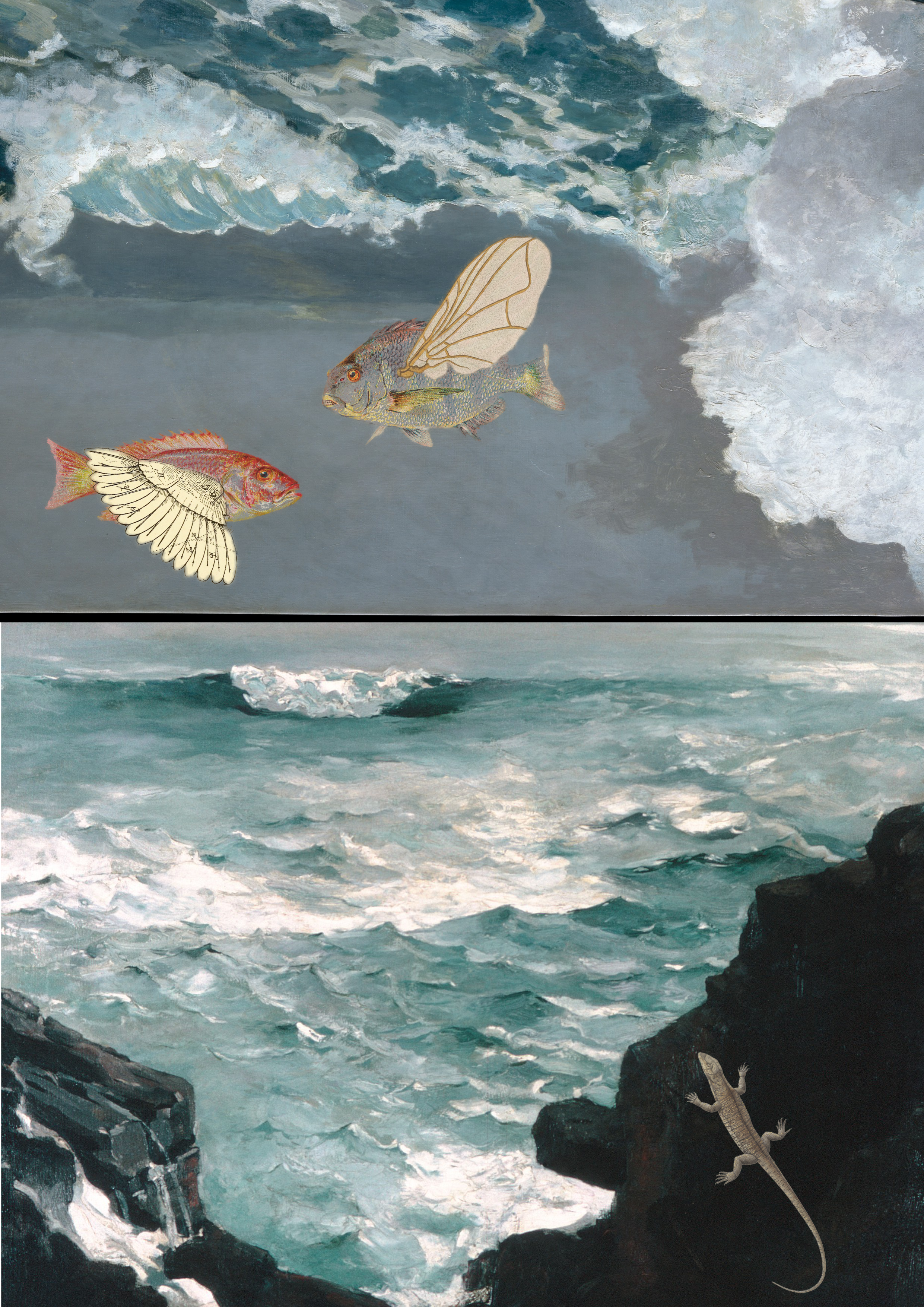 FlyingFish
