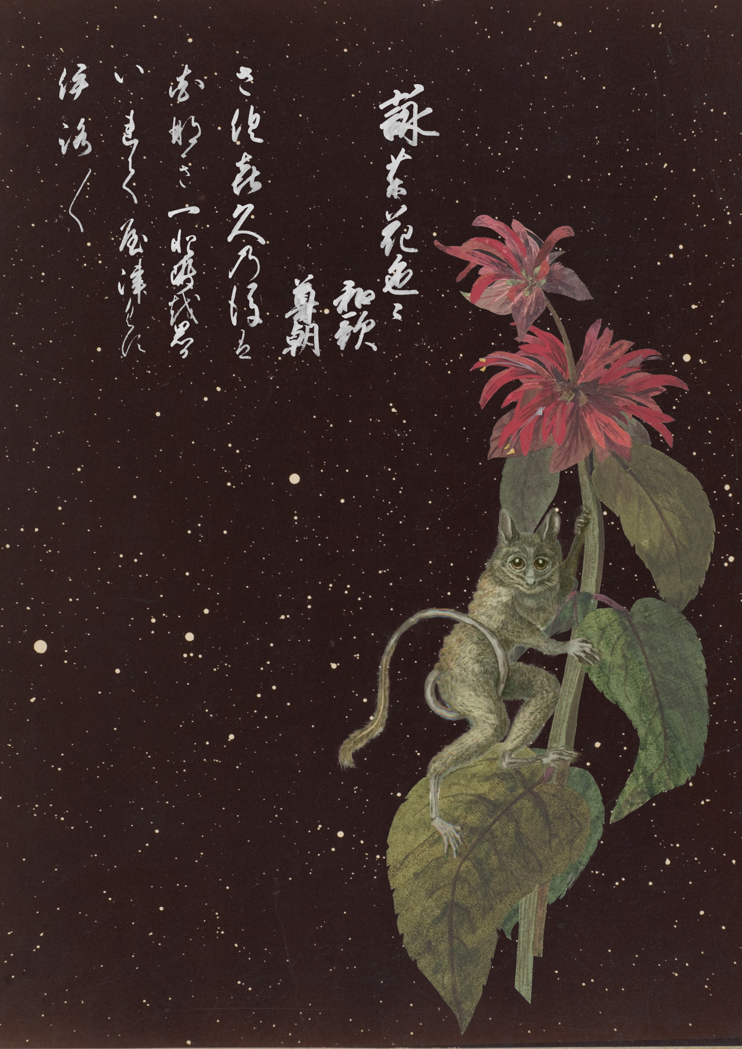 Postcard